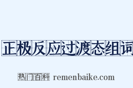 正极反应过渡态组词是什么意思的图片